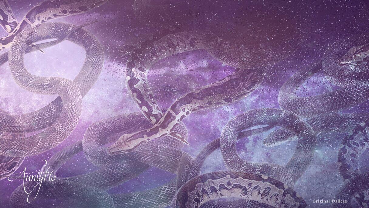 Snake Dream Meaning