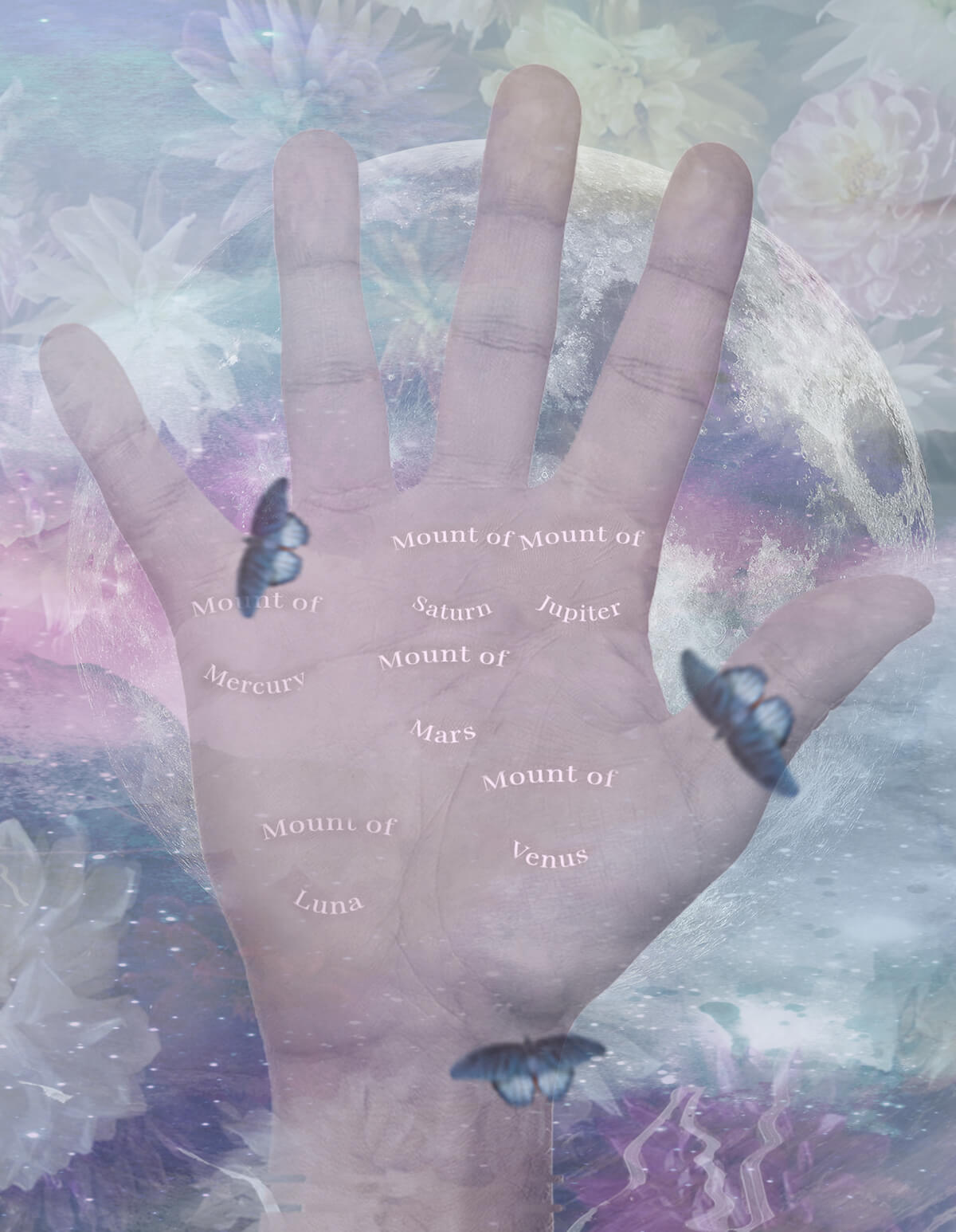 mounts on hand palmistry