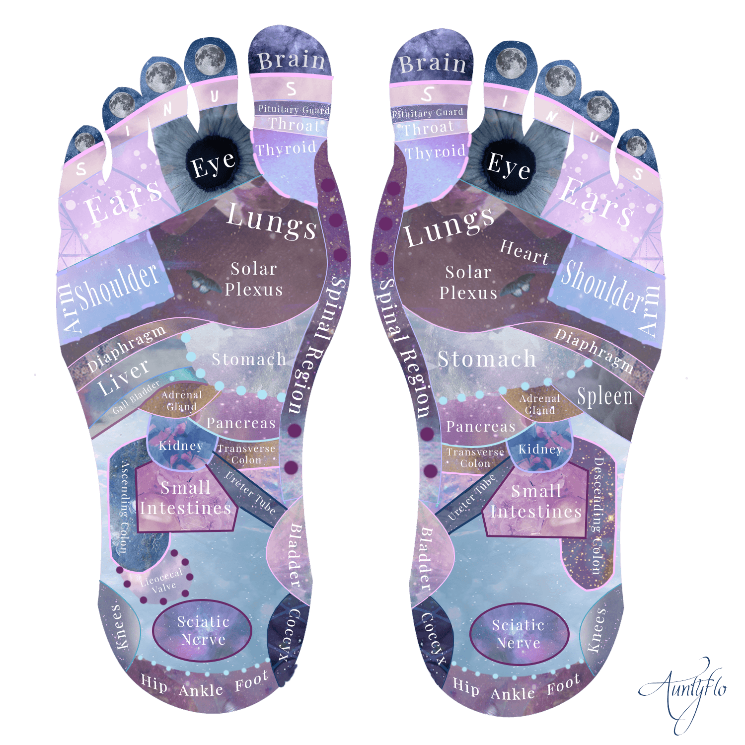 Reflexology Chart Poster