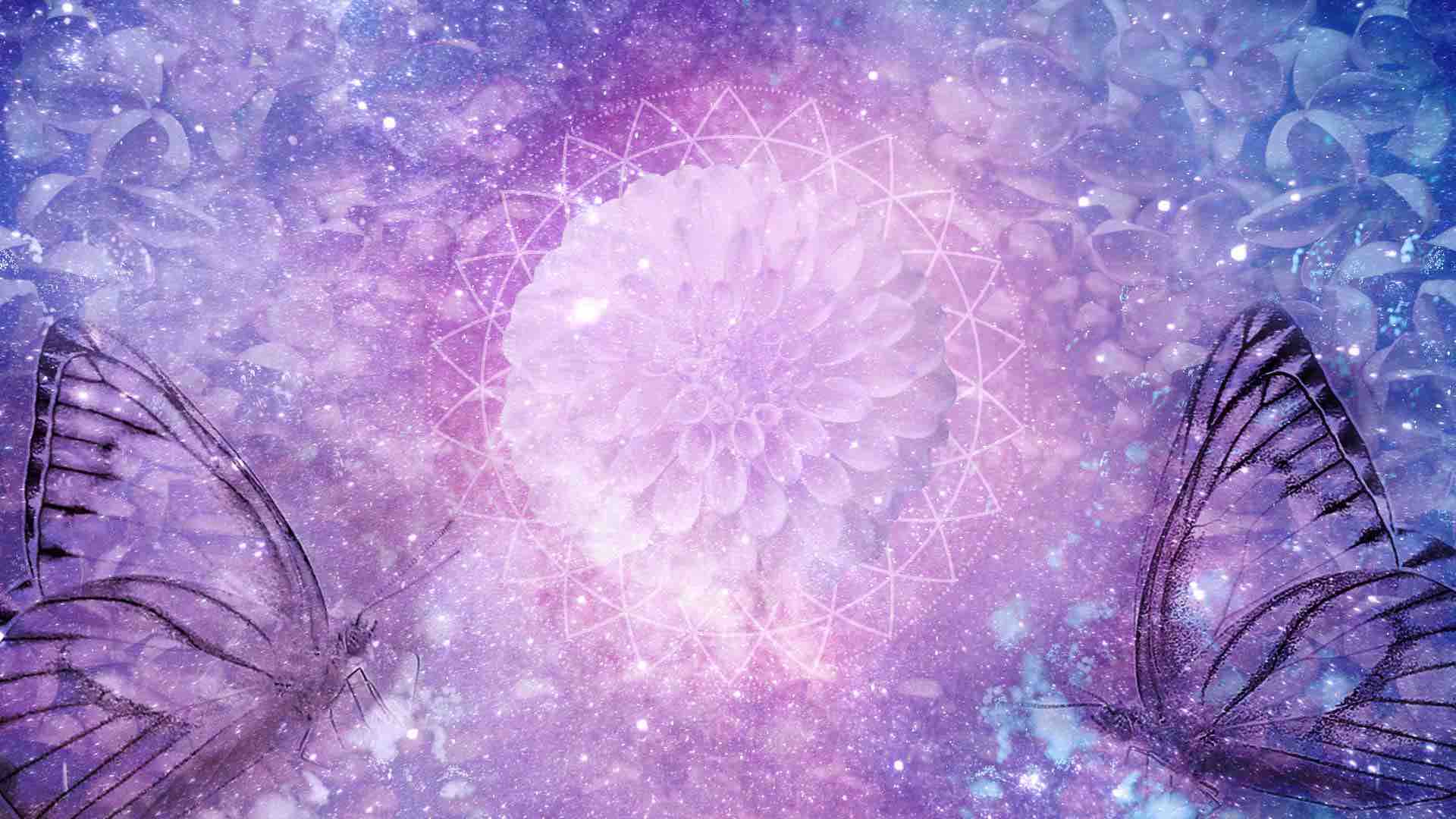 Bittersweet Flower Meaning Dictionary