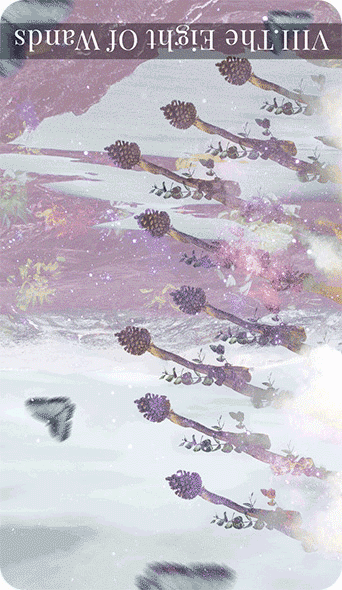 Reversed eight of wands