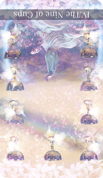 9 Of Cups Tarot Card Reversed