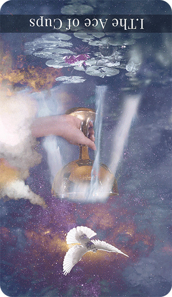 ace of cups reversed
