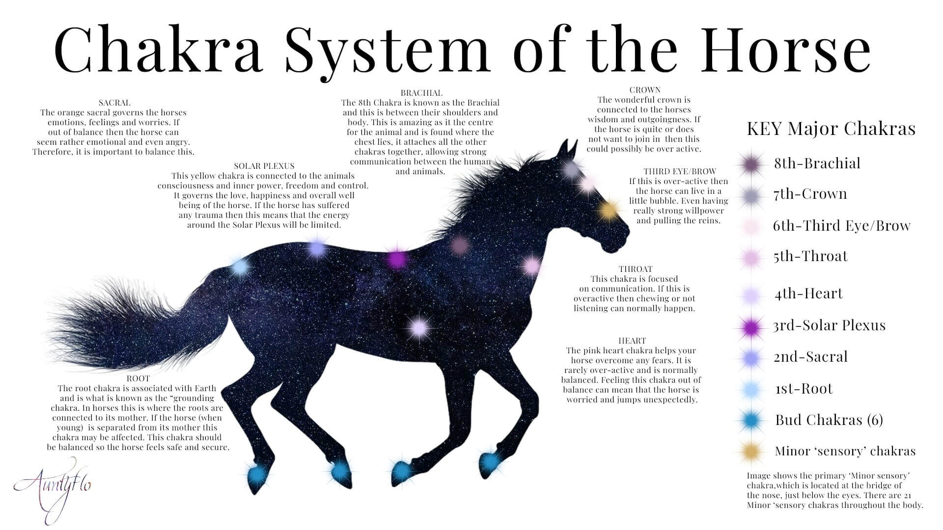 Horse Chakra
