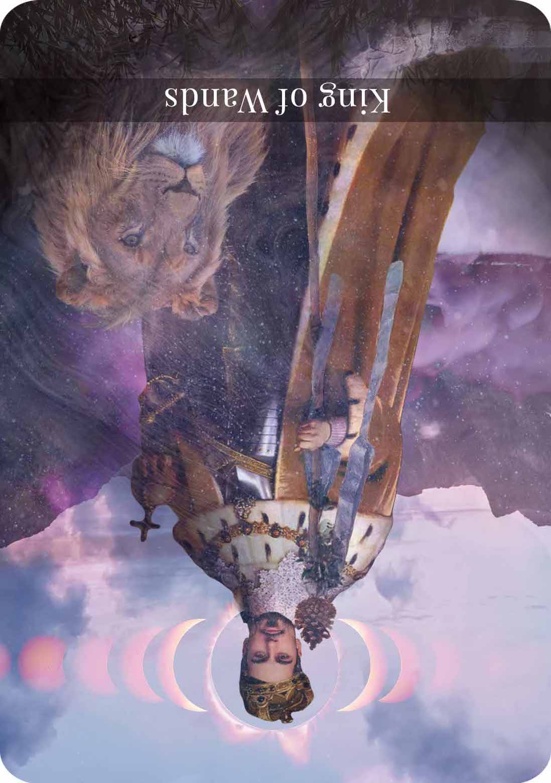 The king of wands Reversed