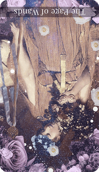 Page Of Tarot Card Reversed