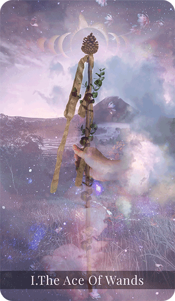The Ace of Wands