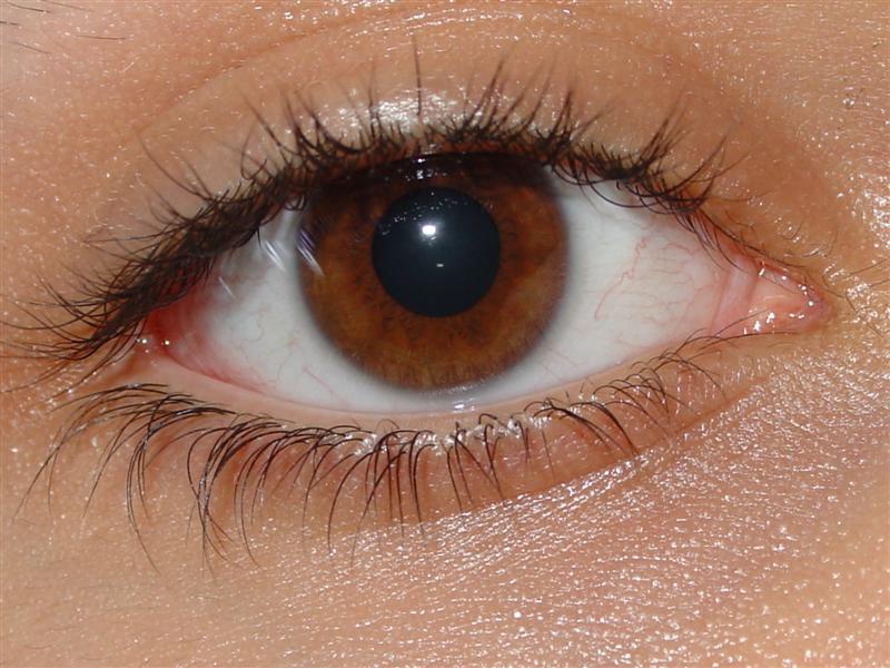 Sanpanku eyes