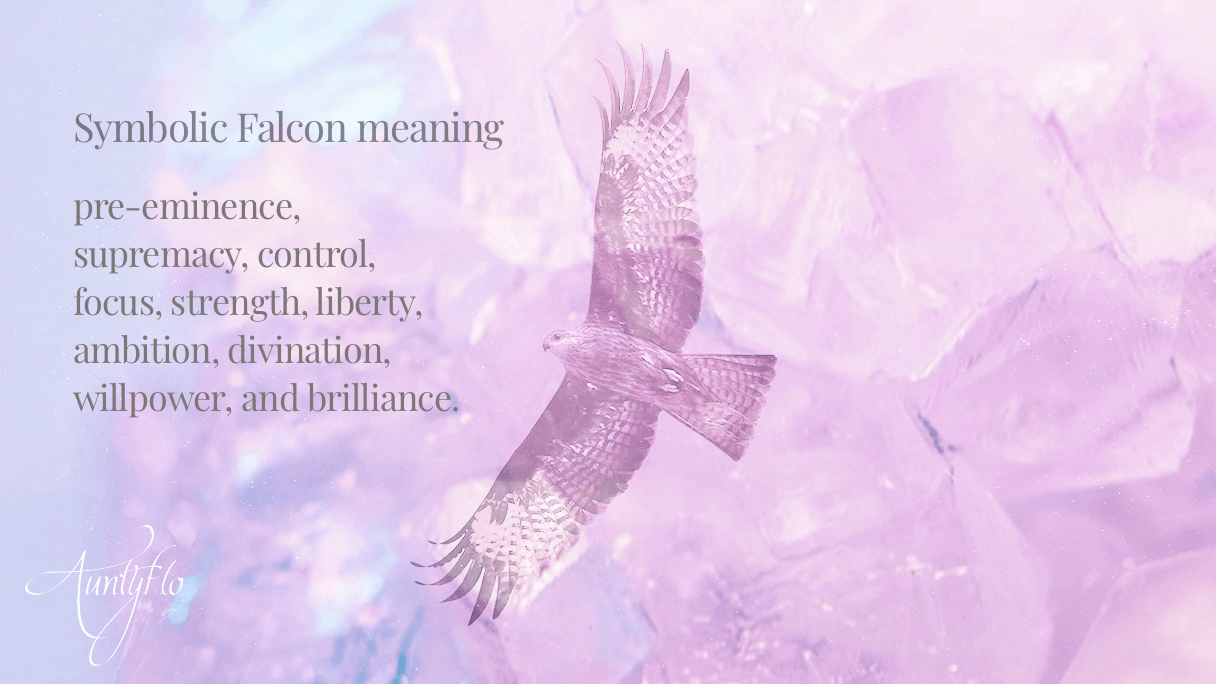Symbol of Falcon Animal Totem Spirt