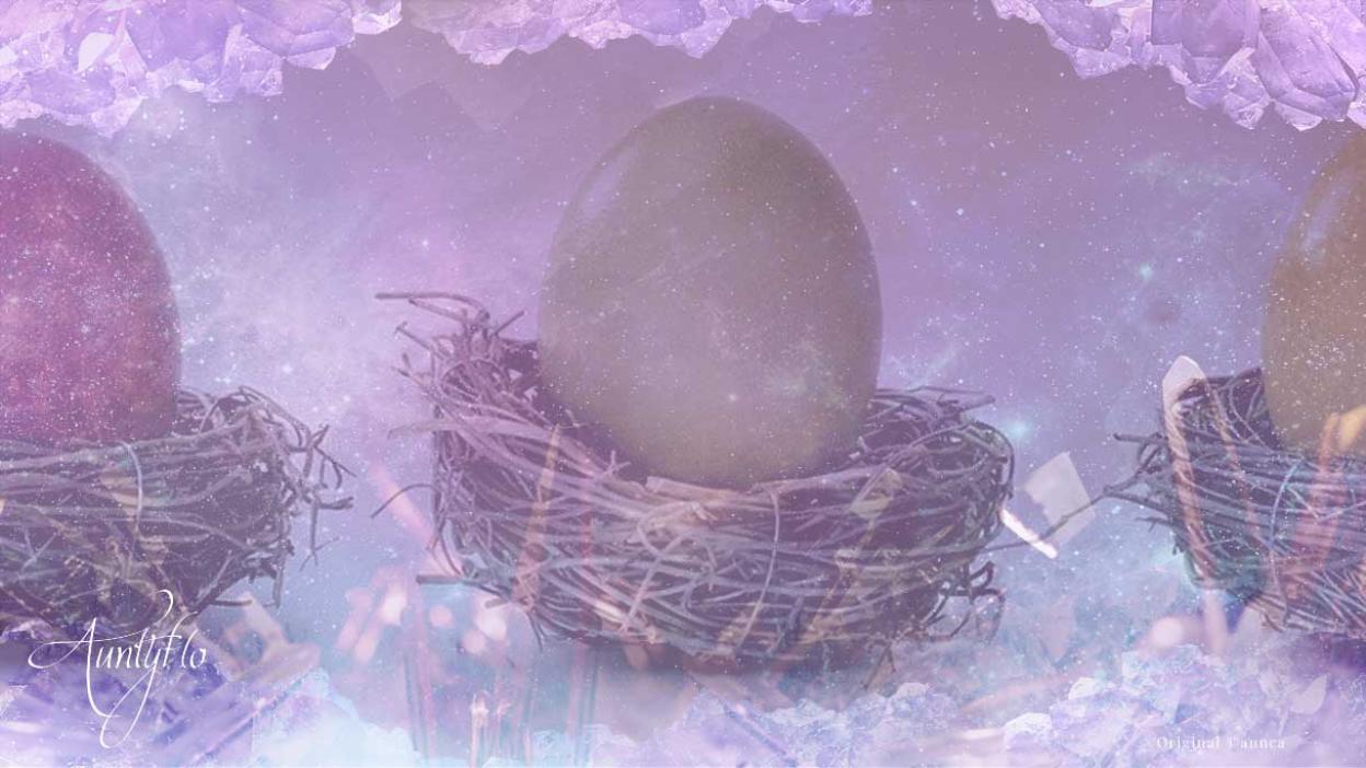 Egg Dream Dictionary Interpret Now Auntyflo Com