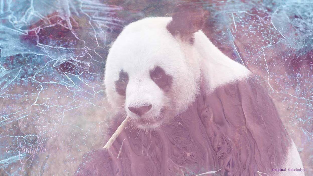 Dreams About Animals Interpretation And Meaning