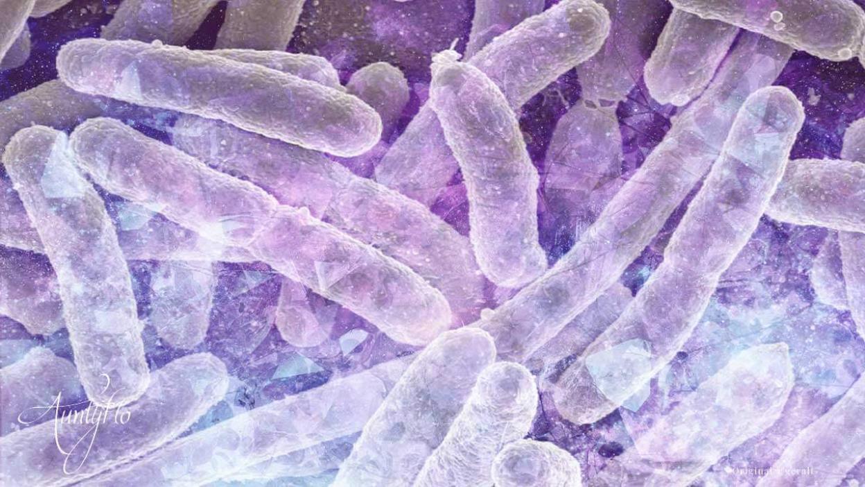 Bacteriological war