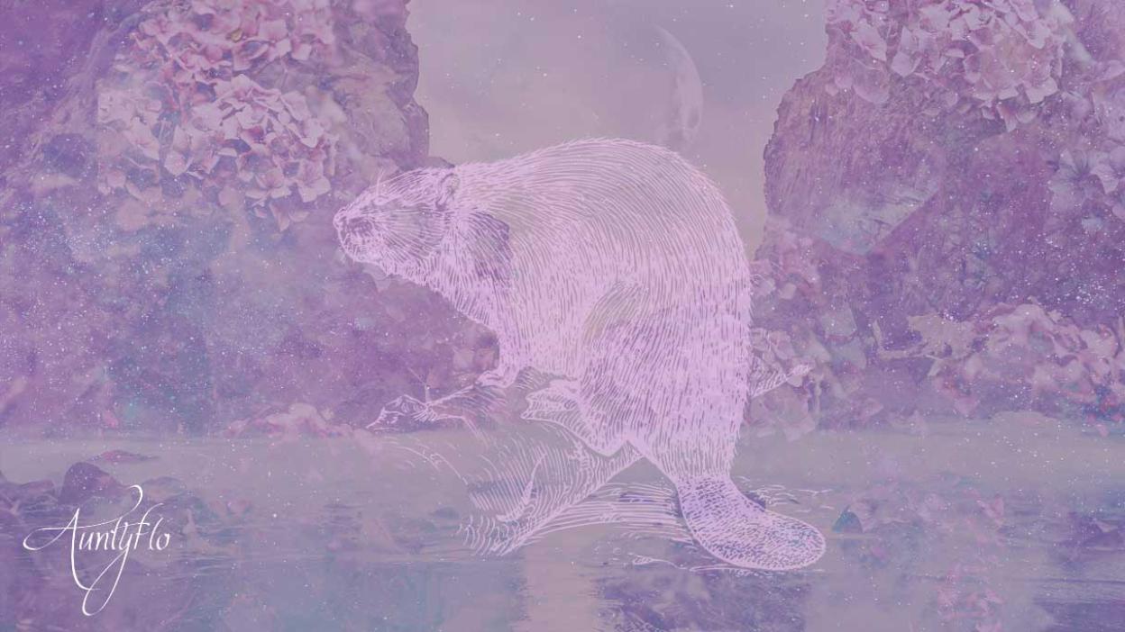 Dream dictionary meaning Beaver
