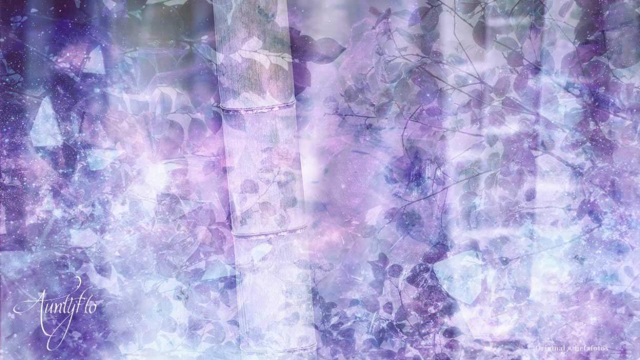 Being surrounded by bamboo