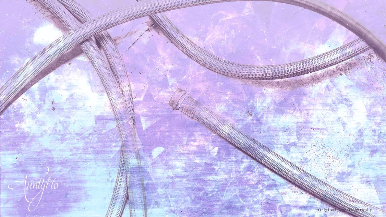 Garden Hose