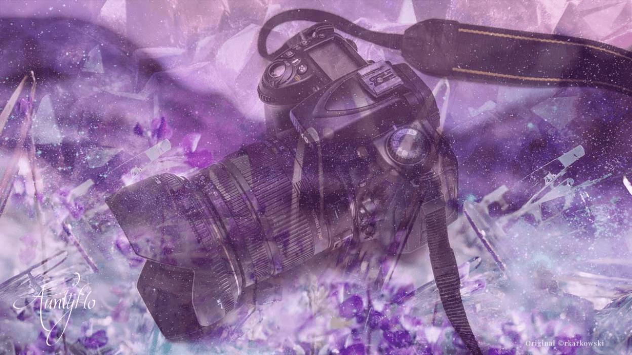 Paparazzi