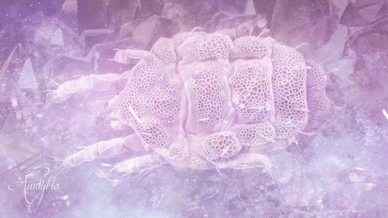 Parasite Extraction
