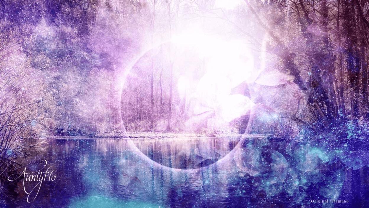 Pond