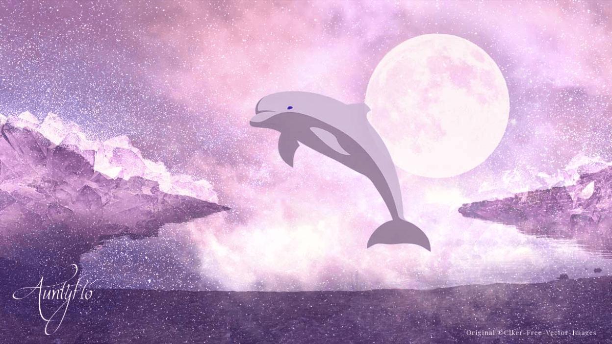 Porpoise