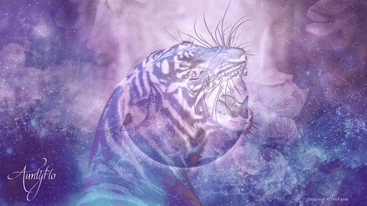Predator