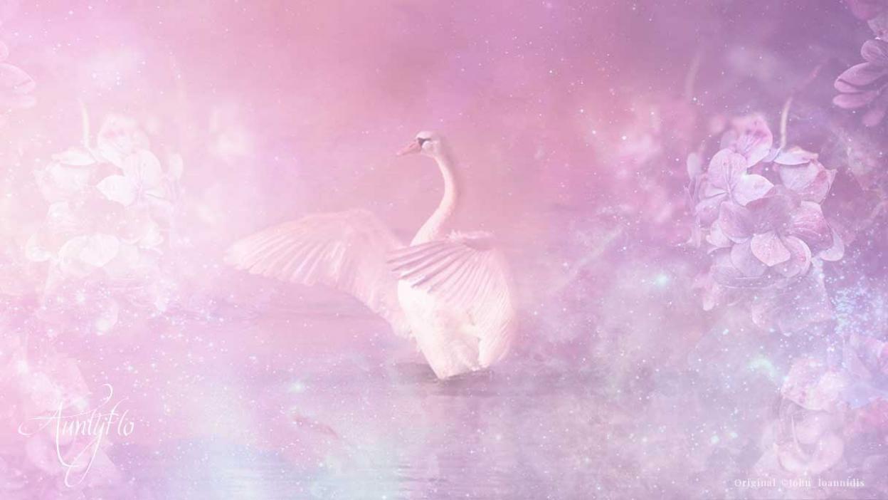 Swan