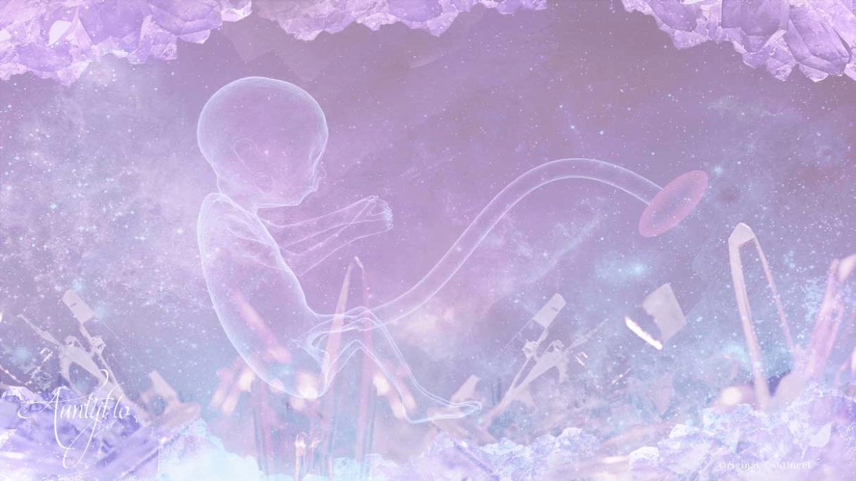 Umbilical Cord Dream Dictionary Interpret Now Auntyflo Com Meaning of umbilical cord in english. umbilical cord dream dictionary