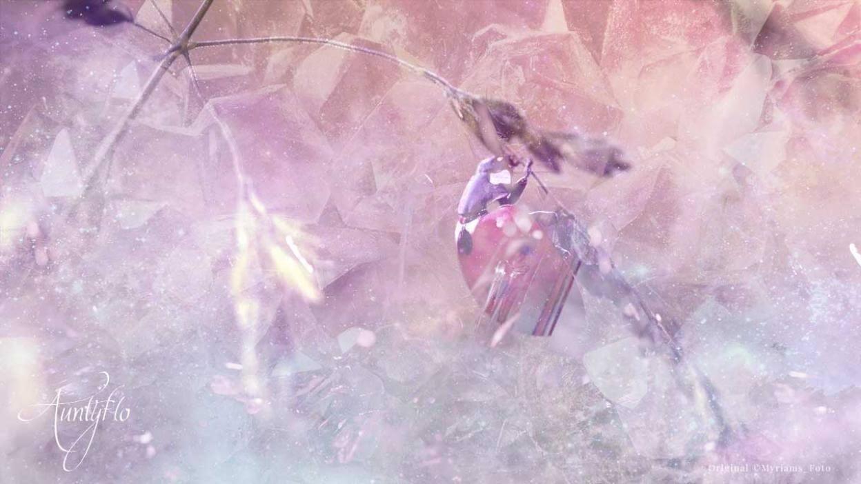 Ladybug dream meaning
