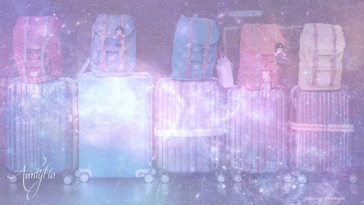 Travel Bag