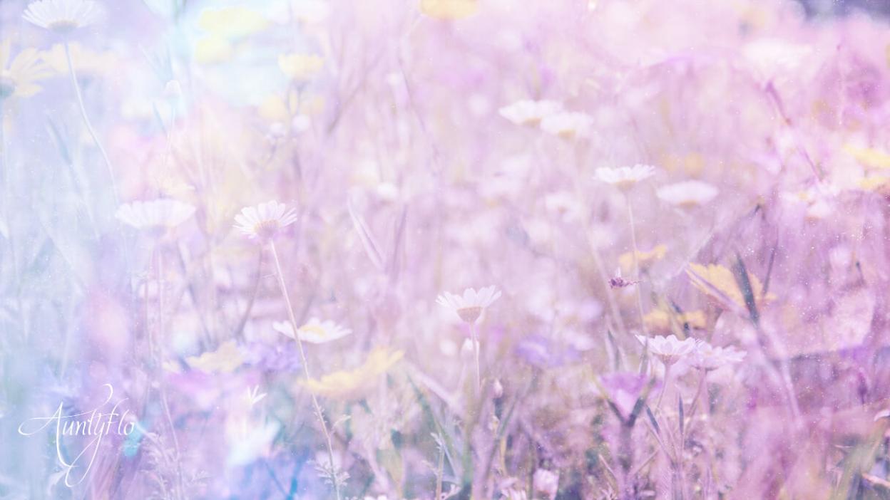 Anemone
