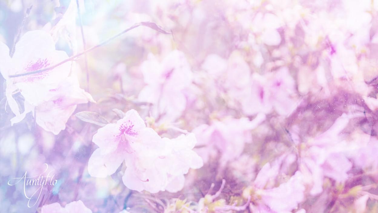 Azalea Meaning