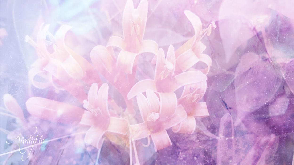 Day Lily Meaning