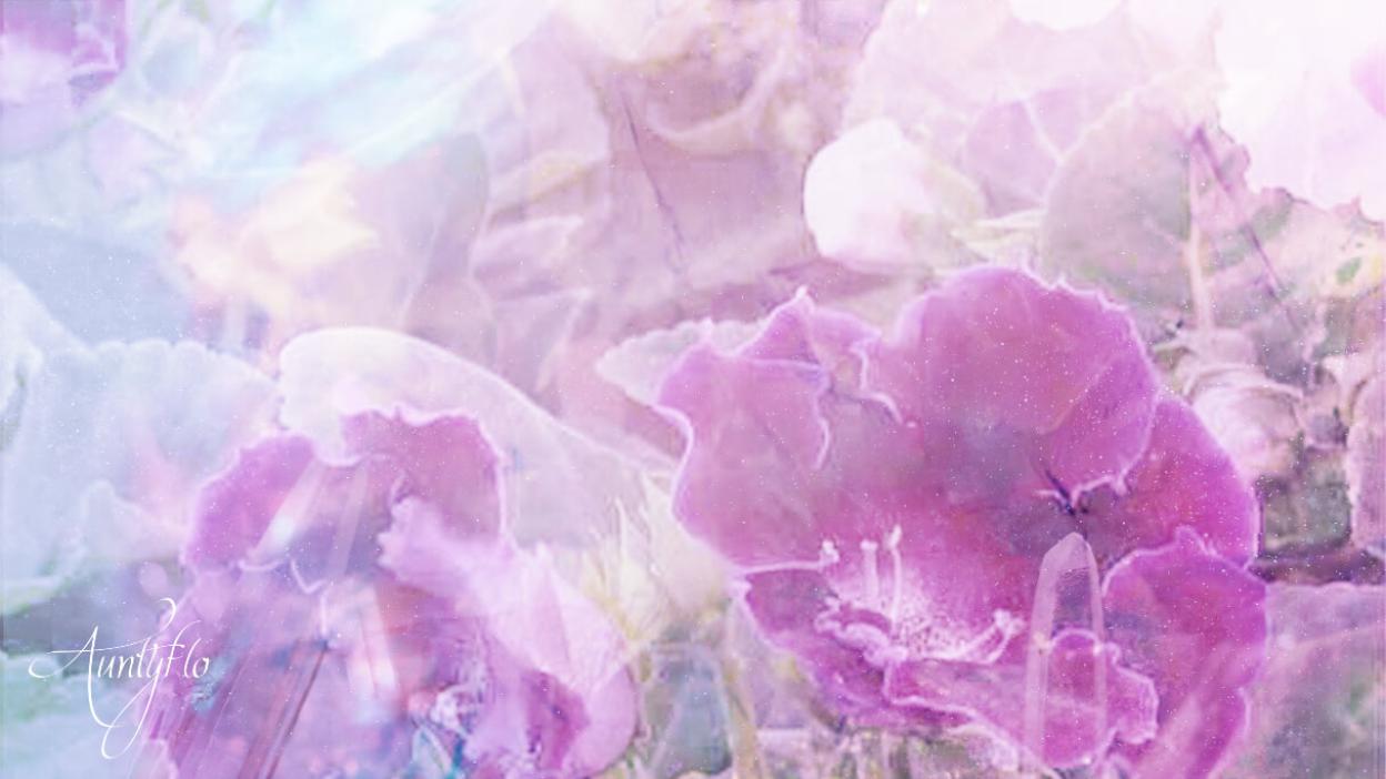 Gloxinia