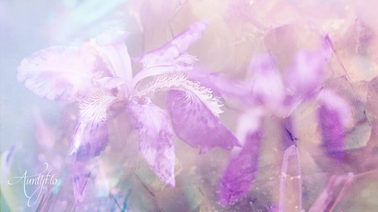 Iris meaning