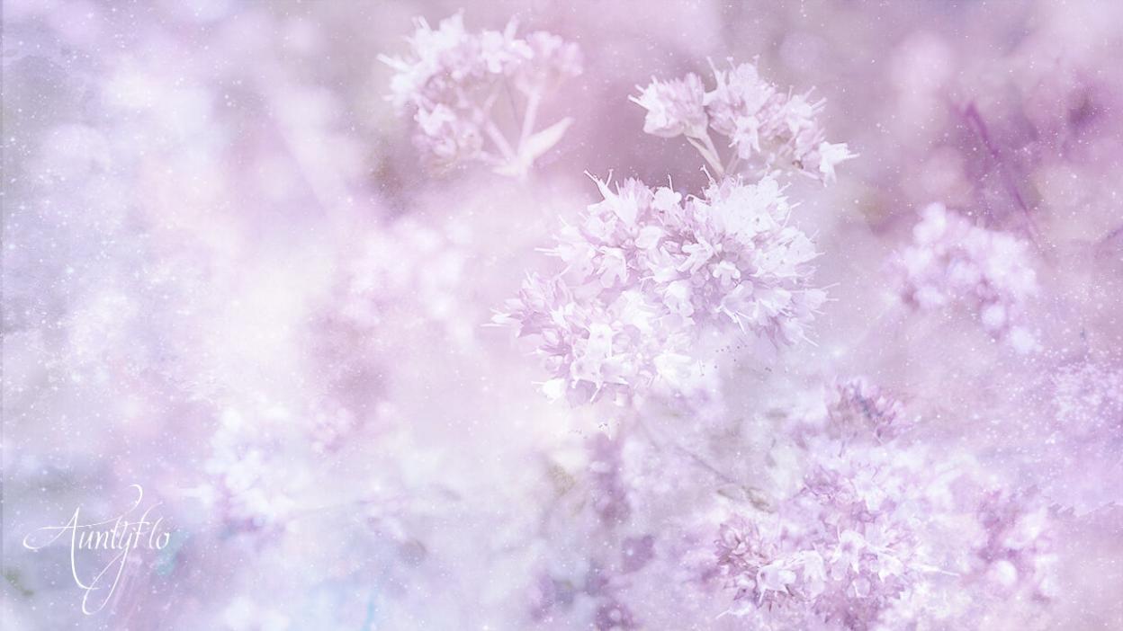 Marjoram