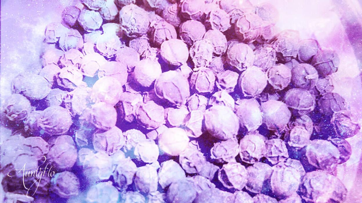 Cubeb berries