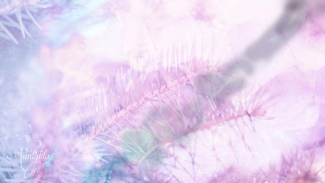 Pine Needles