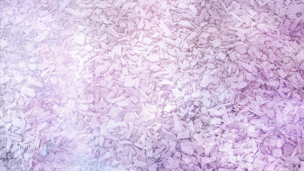 Sassafras root chips