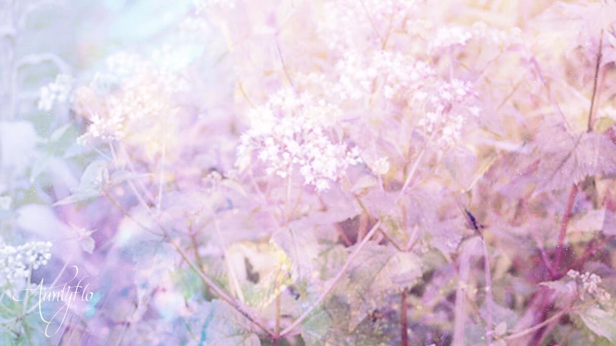 Snakeroot