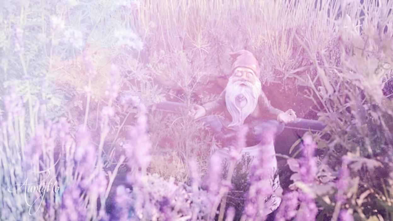 Gnome