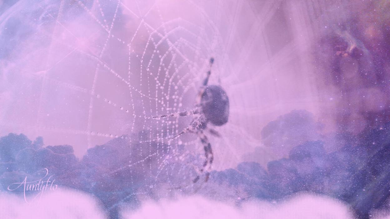 Astral spiders and scorpios - invertebrates