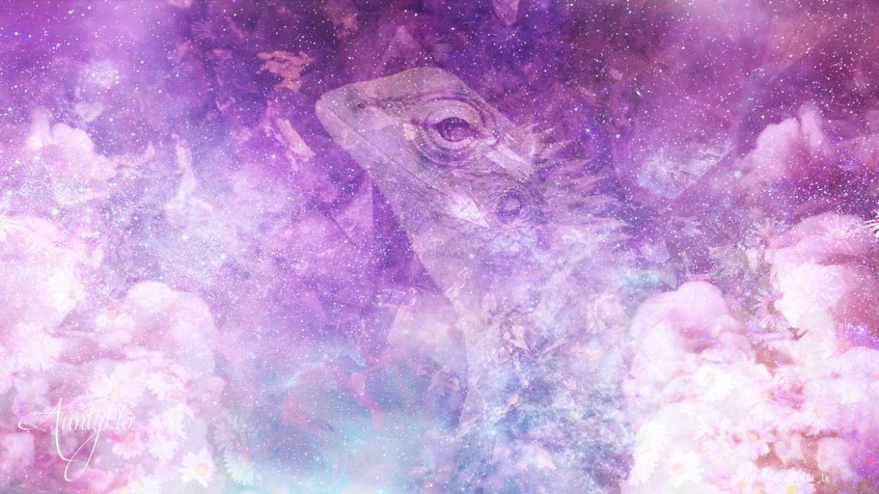 Lizards Superstition Dictionary Auntyflo Com