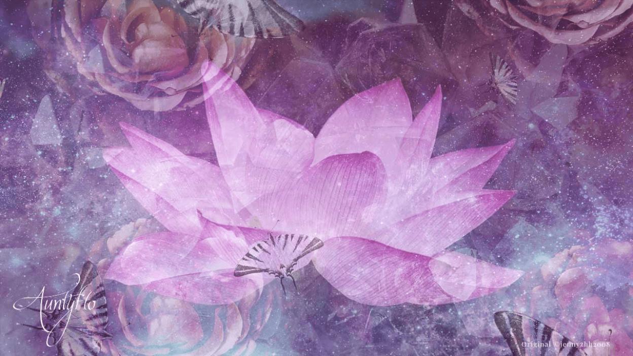 belladonna lilly