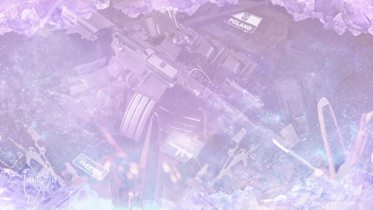 Gun