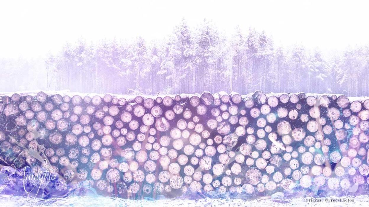 Timber