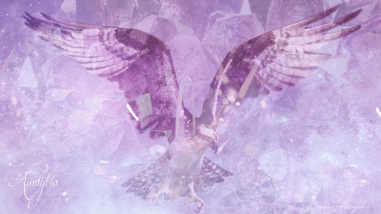 Osprey
