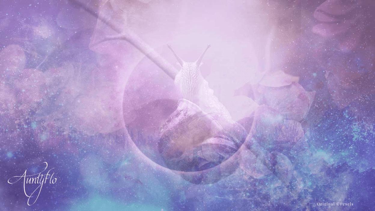 Snail