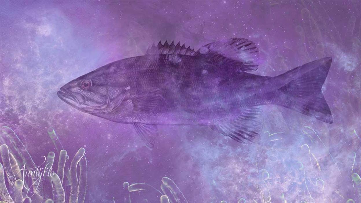 Bass