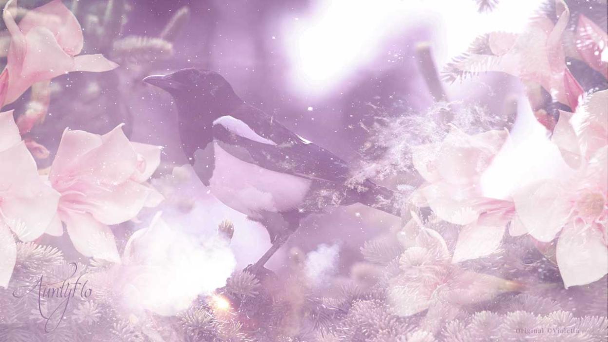 Bird Dream