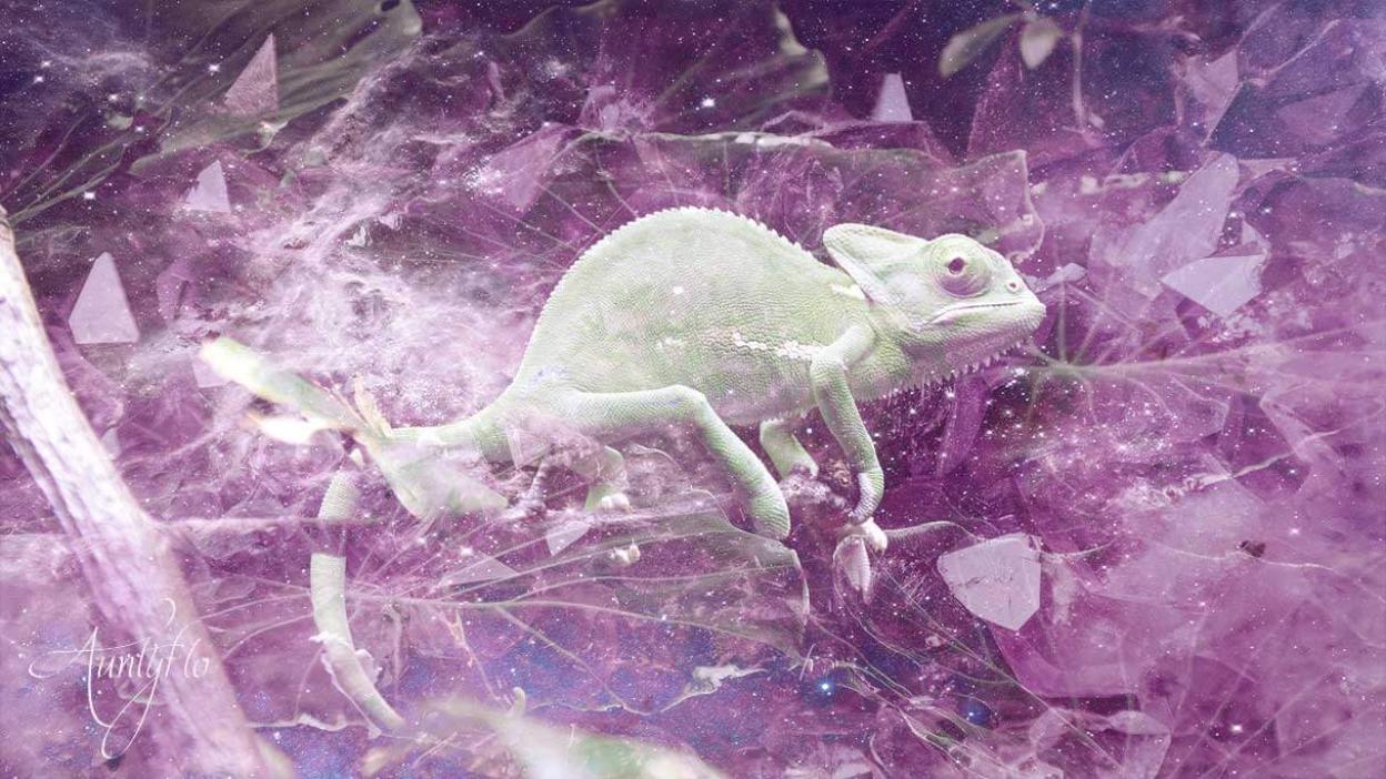 Chameleon