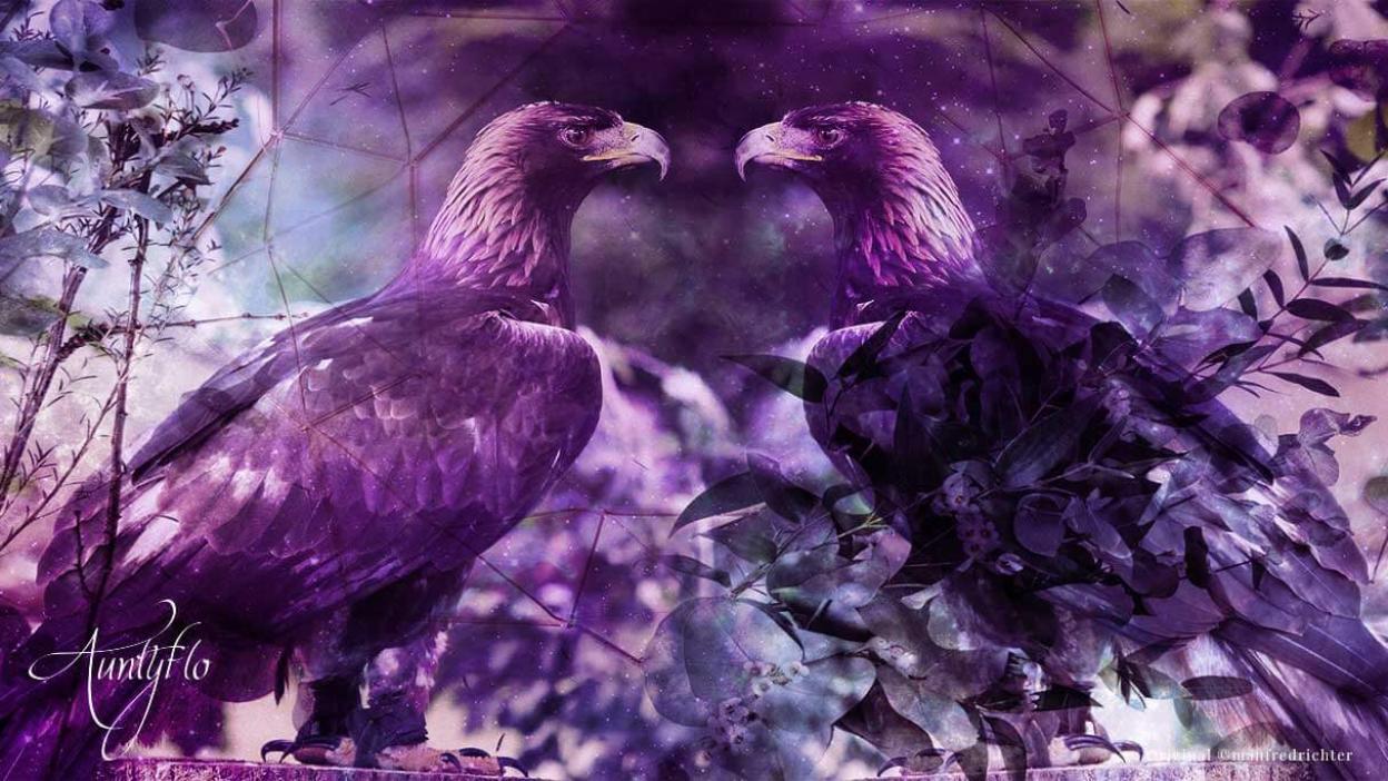 Golden Eagle Awaken your magick powers
